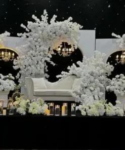 Premium Backdrops